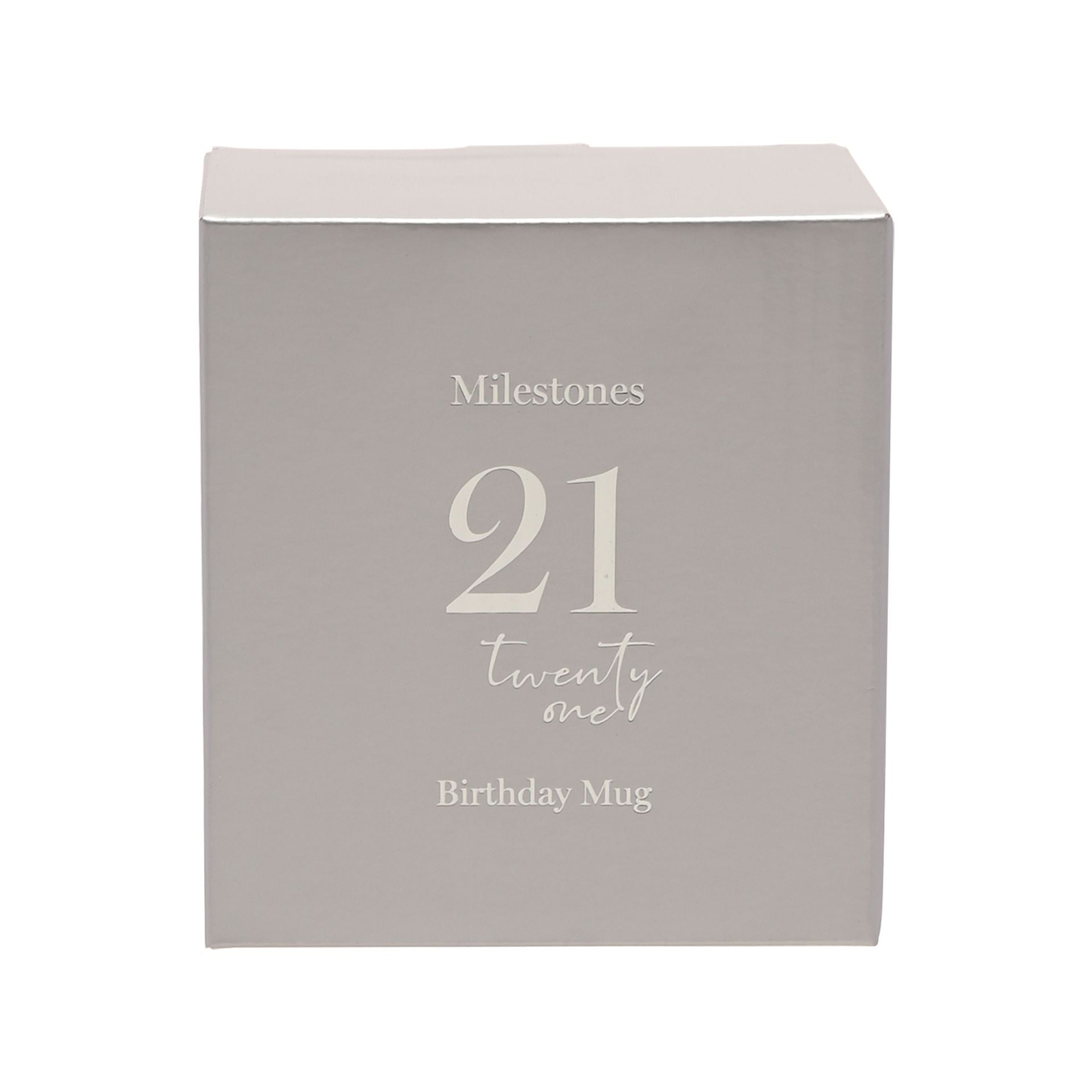 21st Birthday Mug - Silver Decals