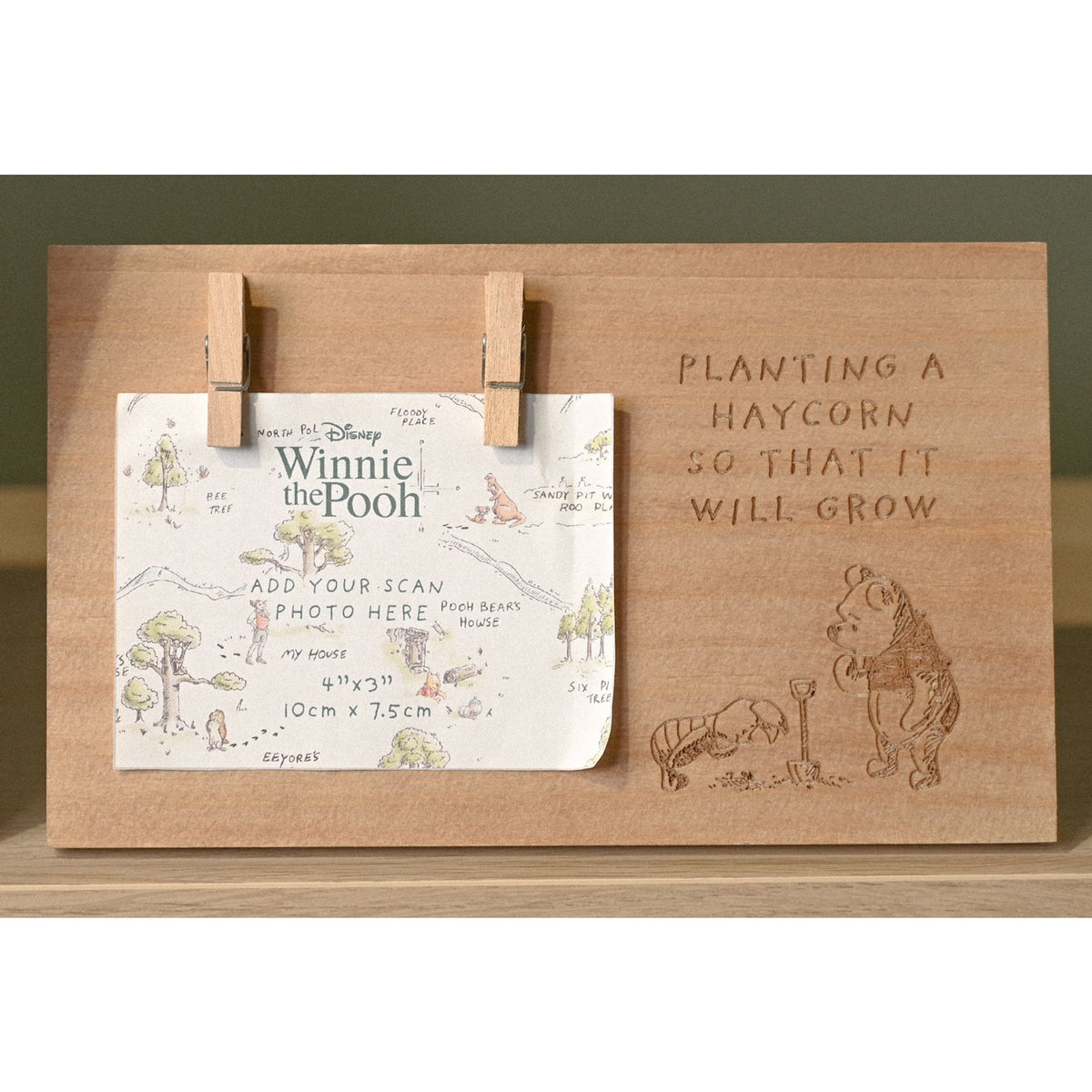 Disney Winnie The Pooh Scan Frame
