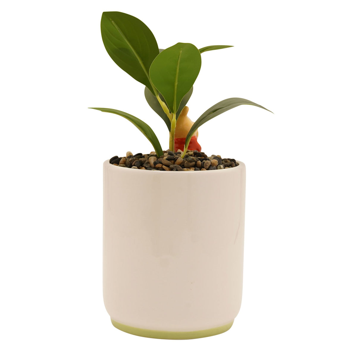 Disney Winnie Planter with 3D Winnie