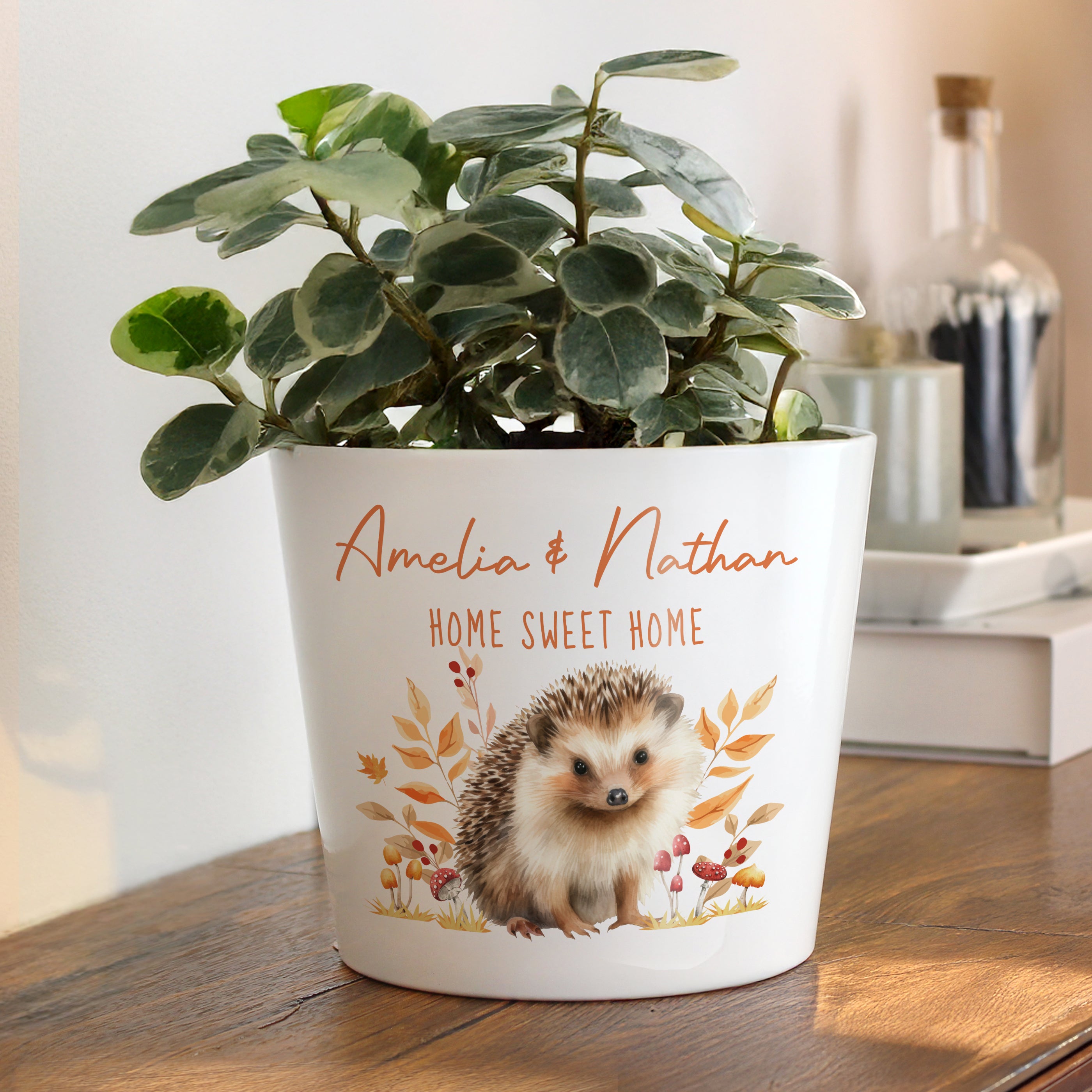 Personalised Hedgehog Large Plant Pot