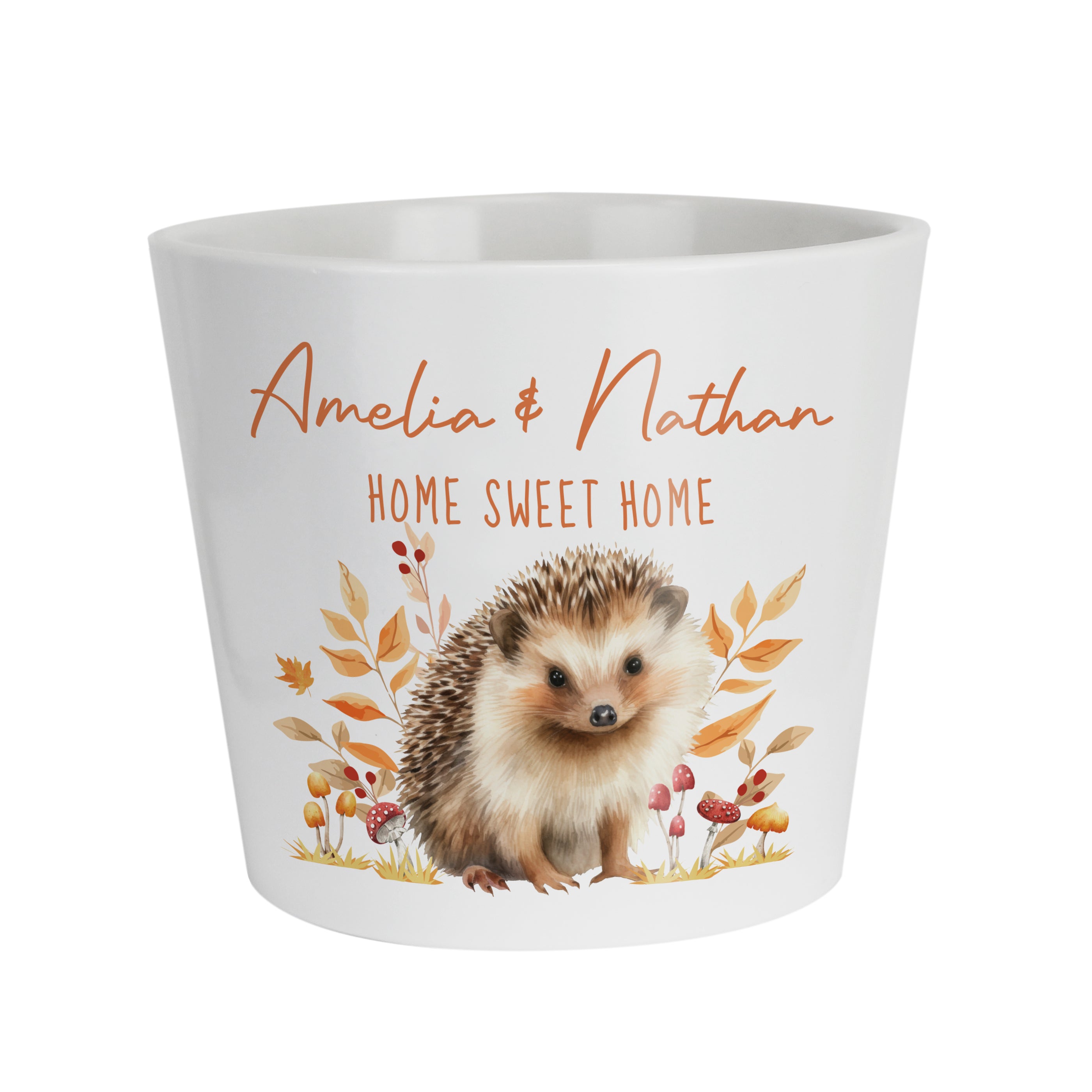 Personalised Hedgehog Large Plant Pot