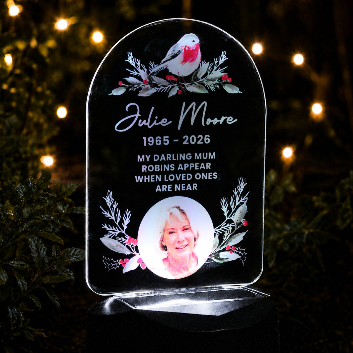 Personalised Robin Photo Upload Outdoor Solar LED Light