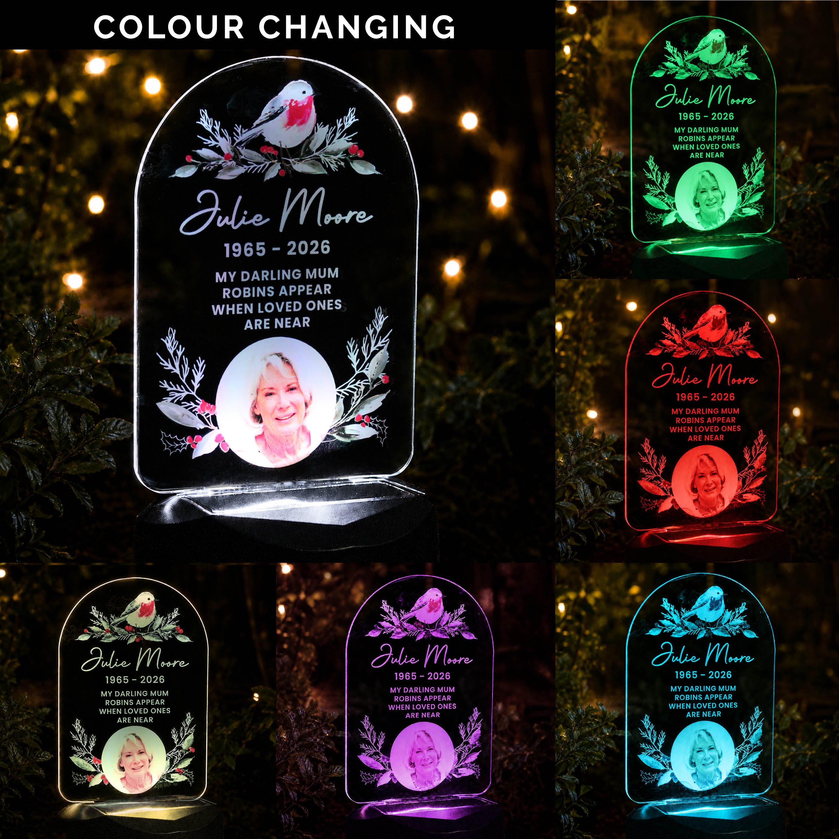 Personalised Robin Photo Upload Outdoor Solar LED Light