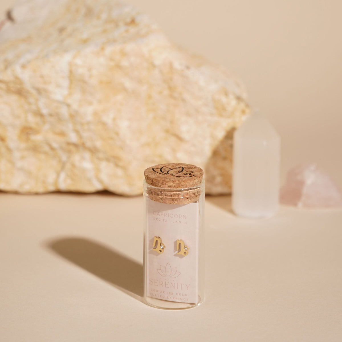 Serenity Zodiac 18k Gold Plated Earrings - Capricorn