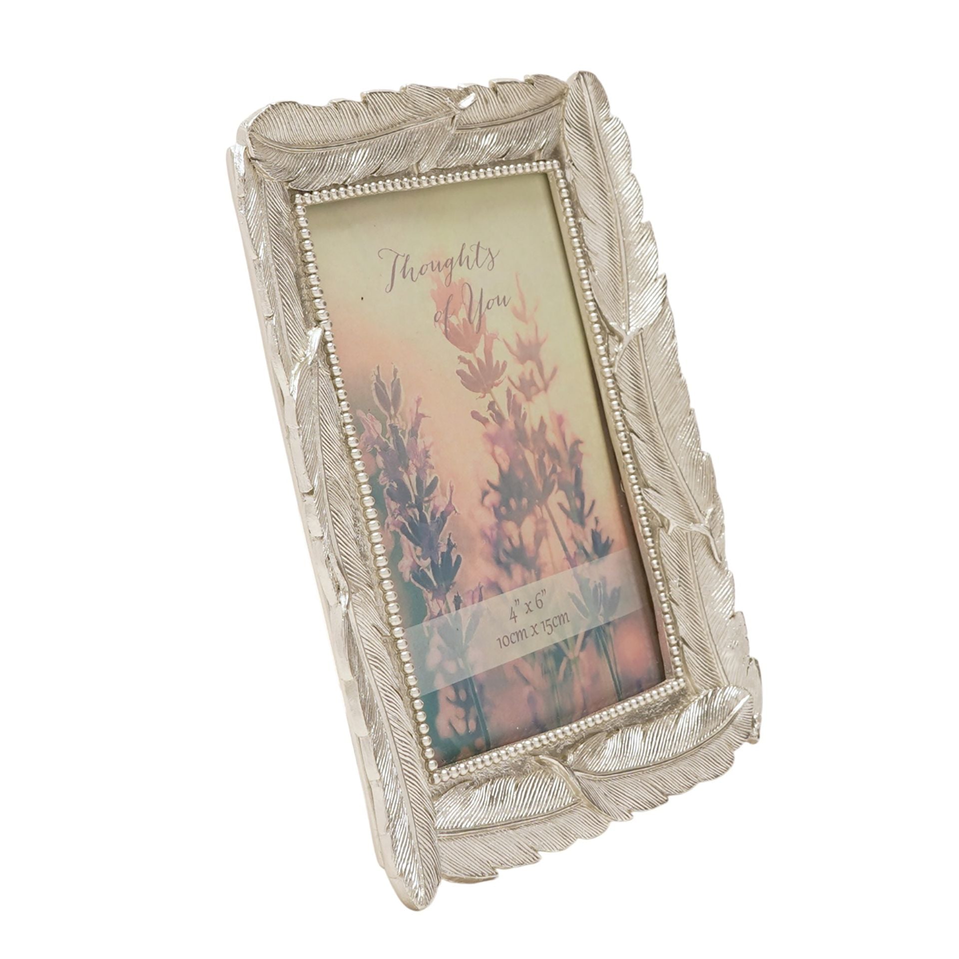 Thoughts of You Feathers Photo Frame 4" x 6"