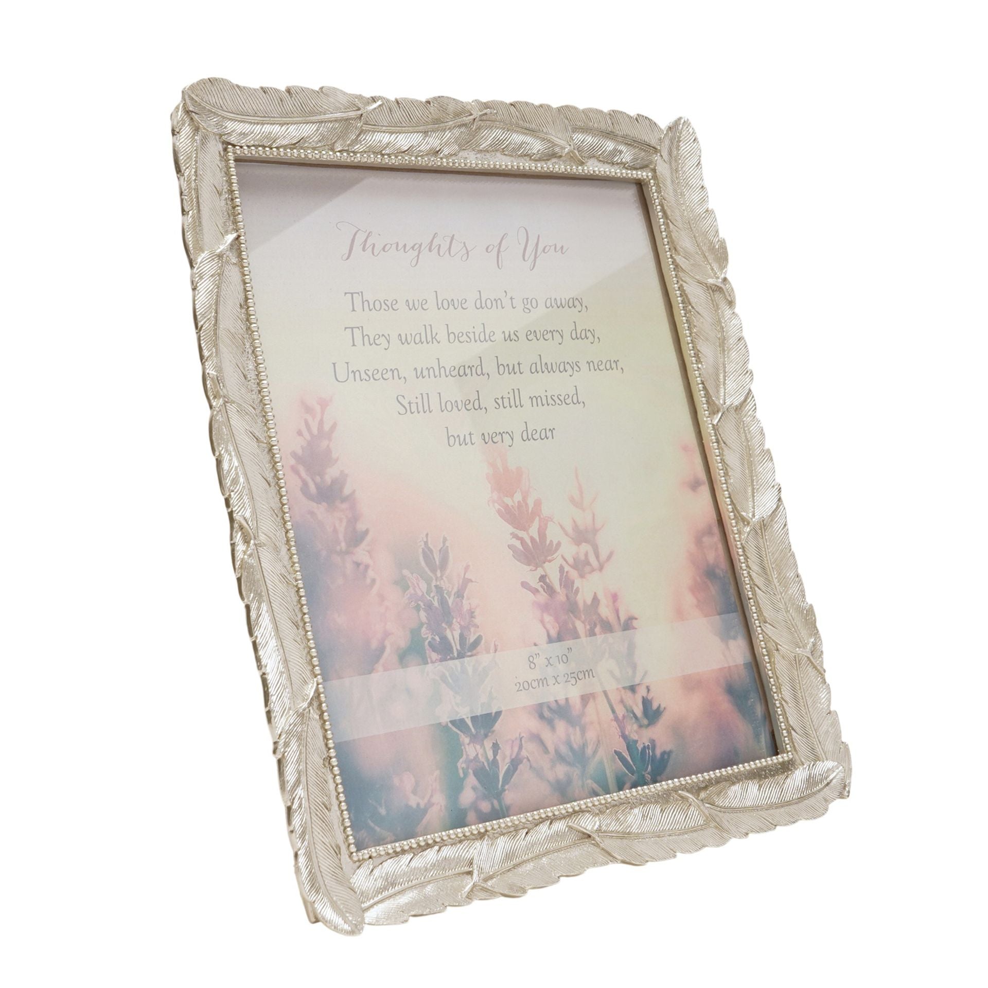 Thoughts of You Feathers Photo Frame 8" x 10"