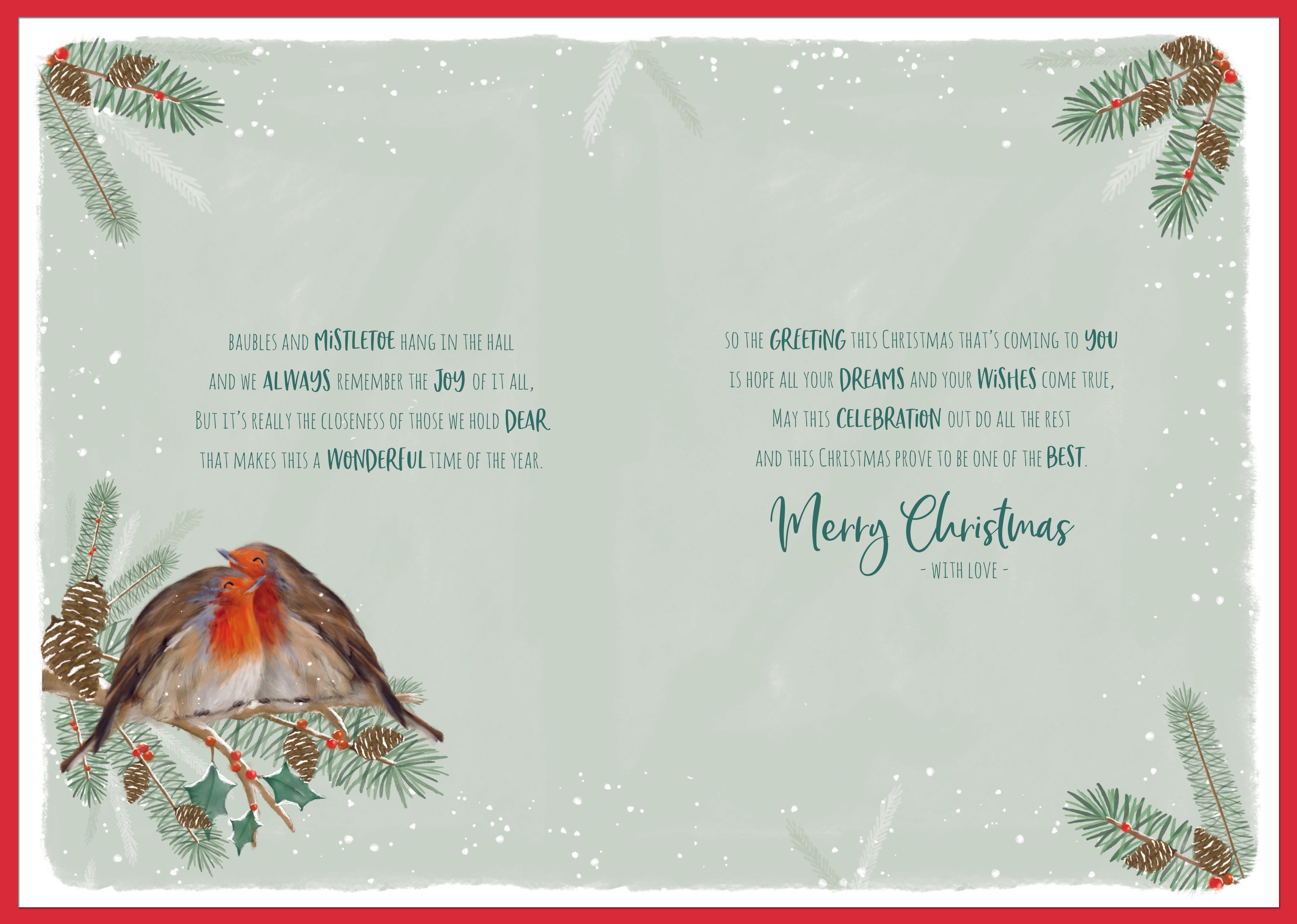 Daughter & Son In Law Christmas Card - Robins