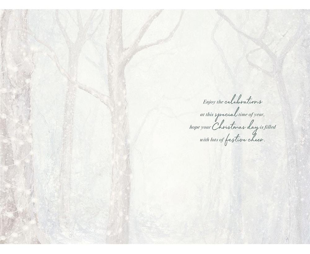 Cousin Male Christmas Card - Badger And Birds