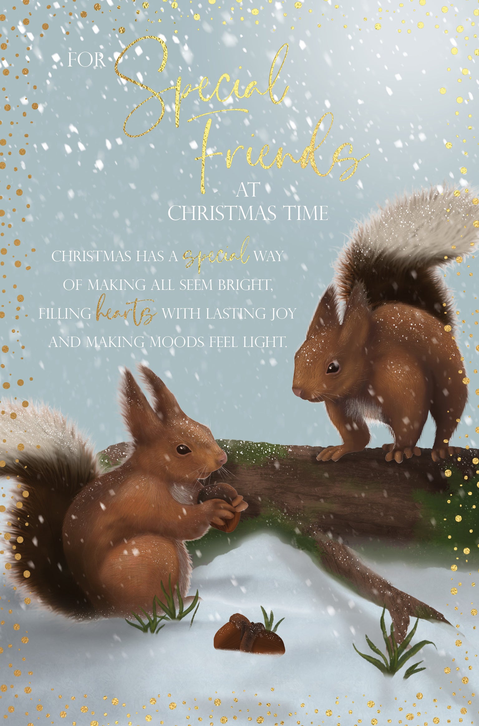 Special Friend Christmas Card - Squirrel