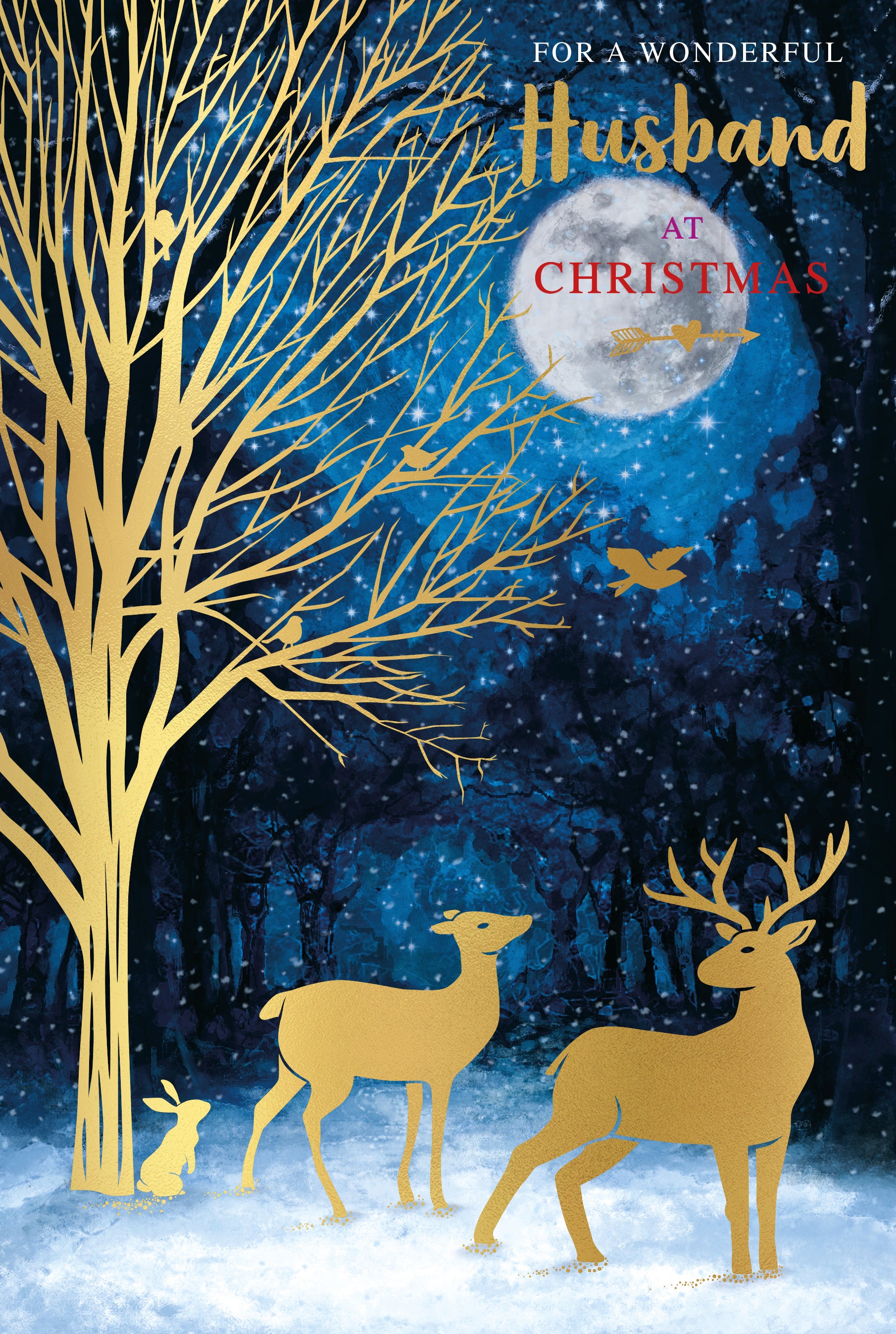 Husband Christmas Card - Reindeers And Moon