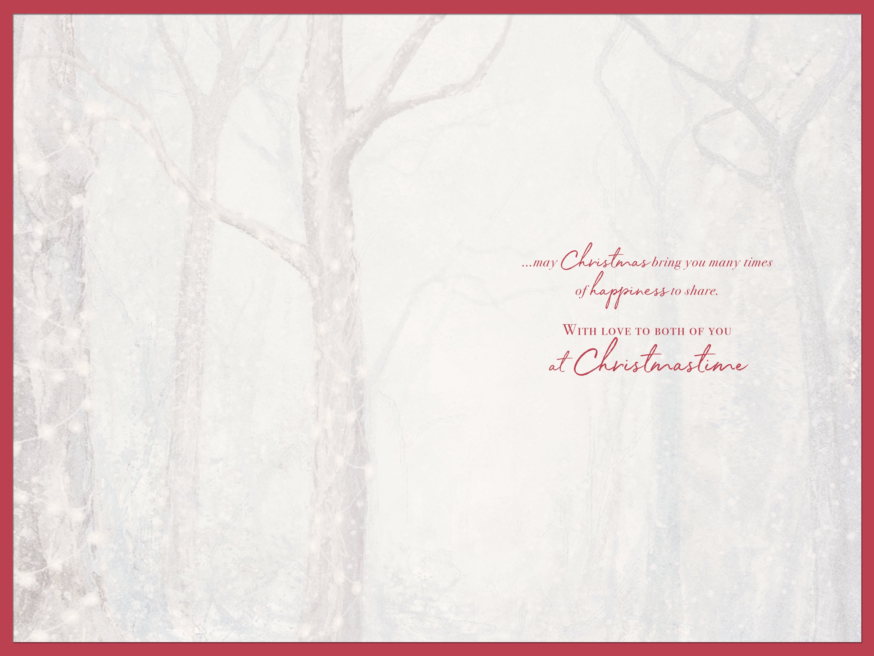 To A Special Grandson & Partner At Christmas Card - Two Deers In