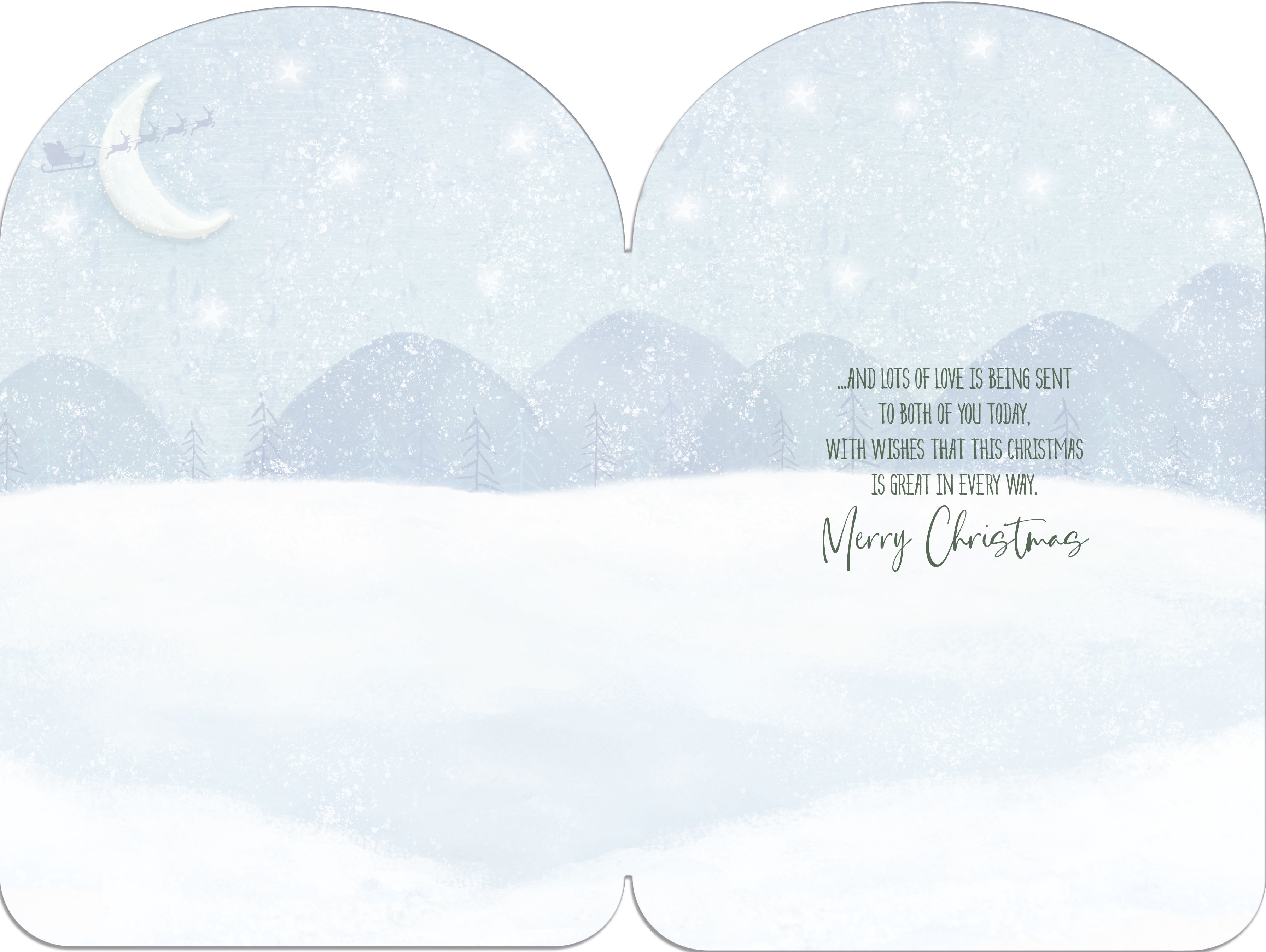 Both Of You Christmas Card - Dogs With Christmas Stockings