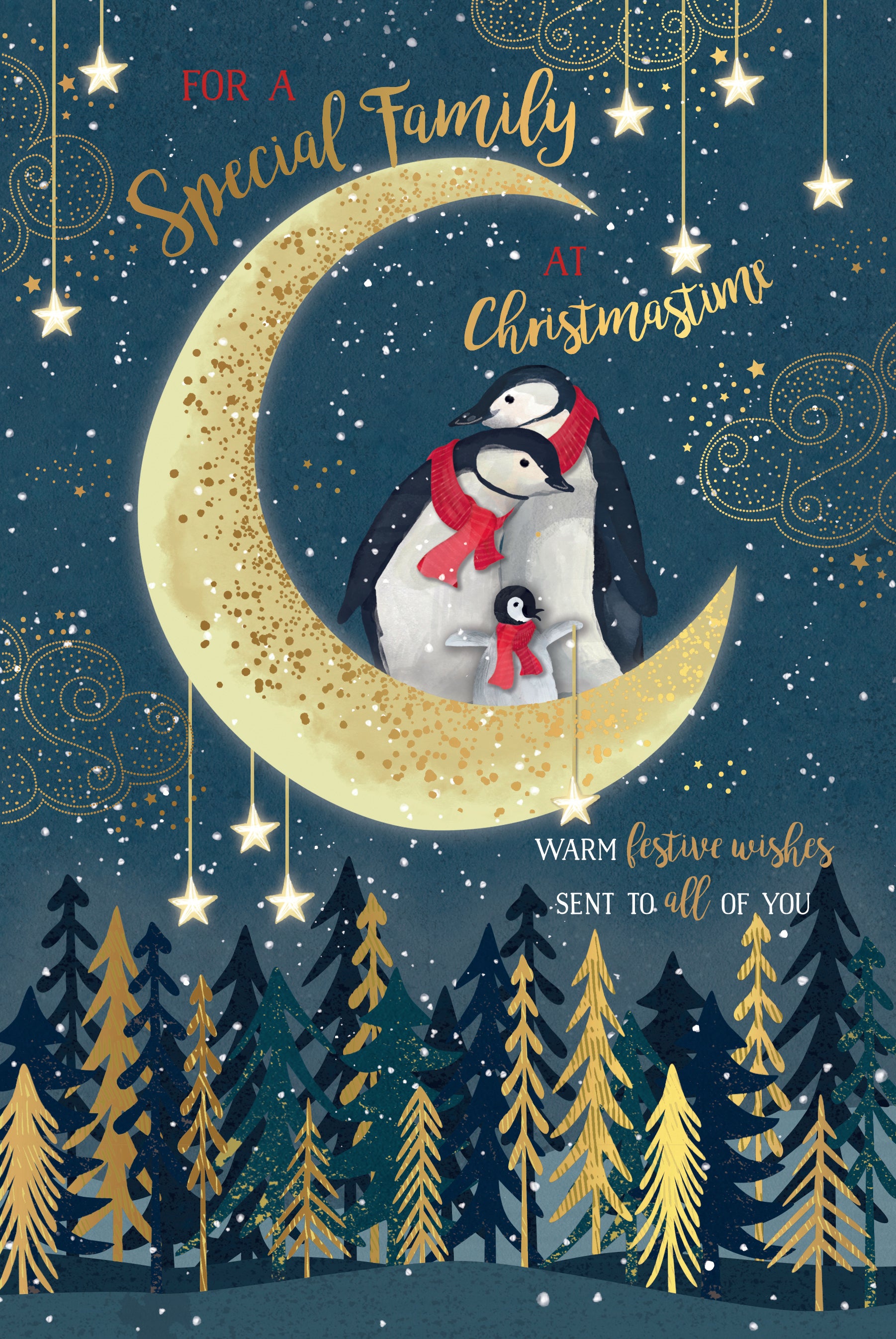 Special Family Christmas Card - Penguins Stood On Moon
