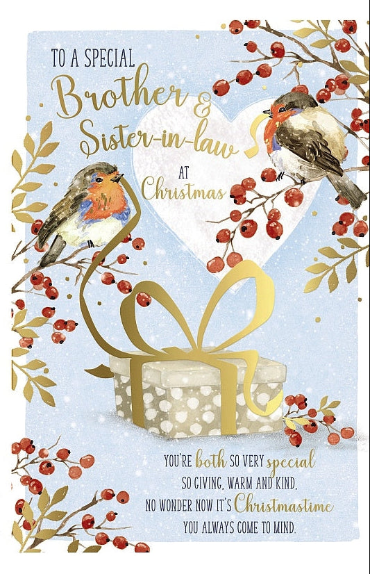 Brother And Sister-In-Law Christmas Card - Robins With Present