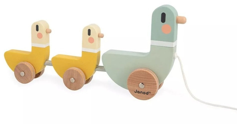 Janod Ducks to Pull Sweet Cocoon - PUSH & PULL TOYS