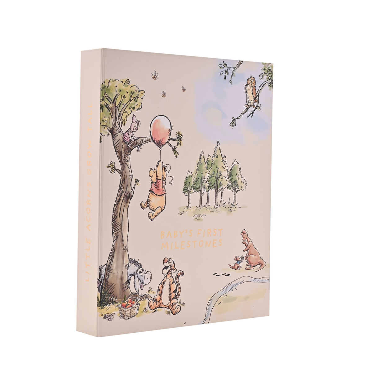 Disney Winnie The Pooh Milestone Album with Cards