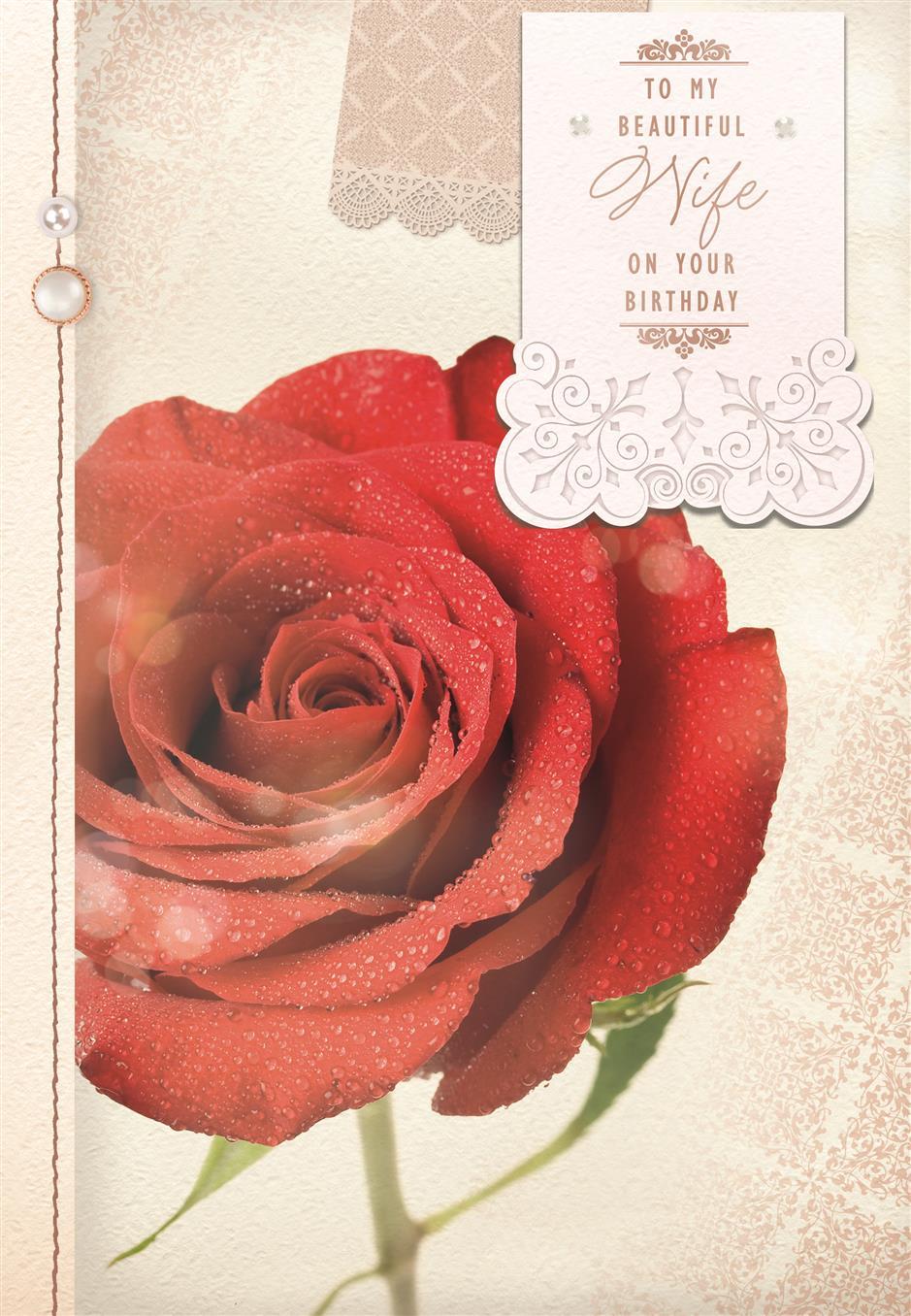 Wife Birthday Card - Rose Symbolising Unfading Love